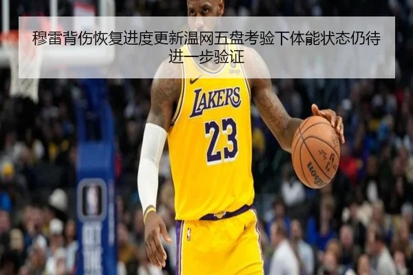 穆雷背伤恢复进度更新温网五盘考验下体能状态仍待进一步验证