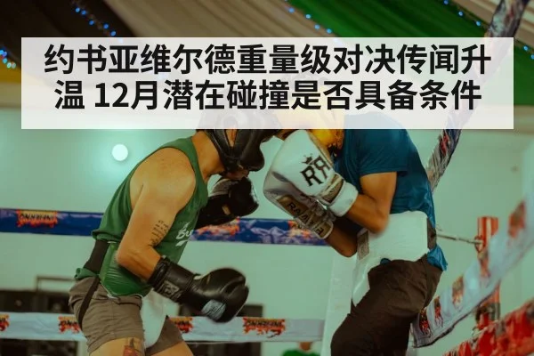 约书亚维尔德重量级对决传闻升温 12月潜在碰撞是否具备条件