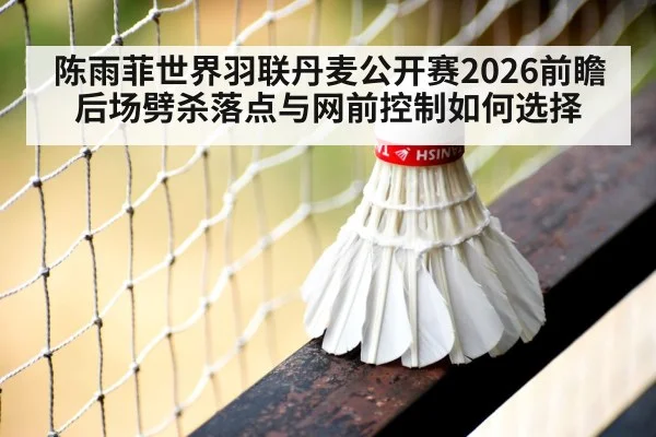 badminton net shot close up