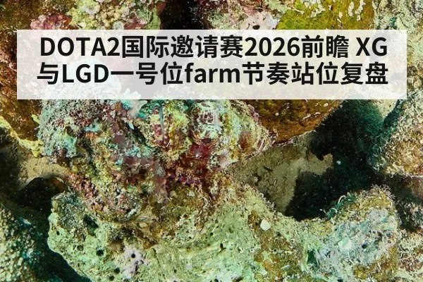 DOTA2国际邀请赛2026前瞻 XG与LGD一号位farm节奏站位复盘